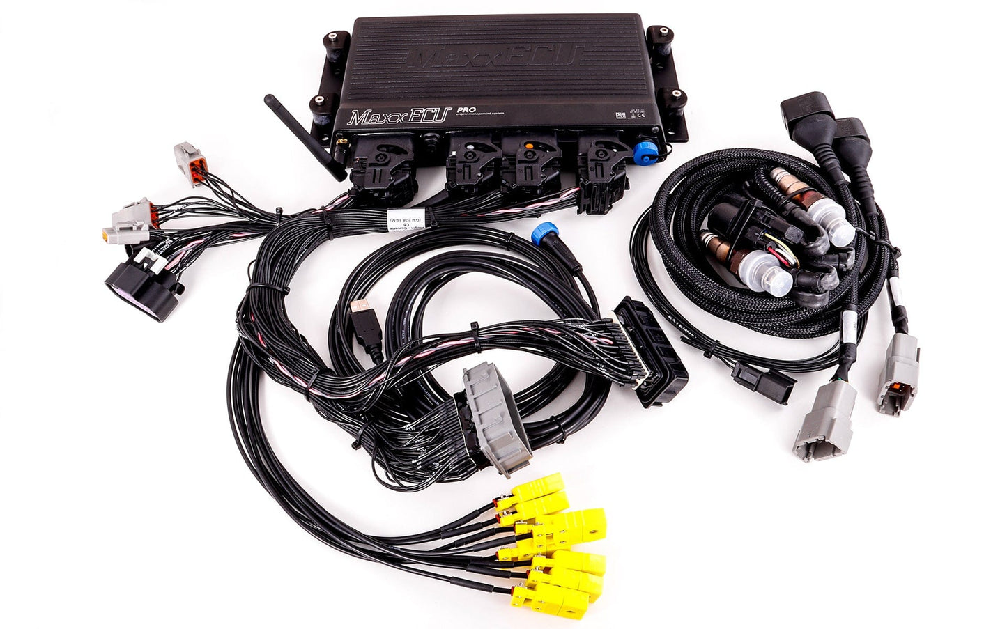 GM Corvette C6 (E38 ECM) MaxxECU PRO Plugin EXTRA MAXX1962 - Boosted Kiwi
