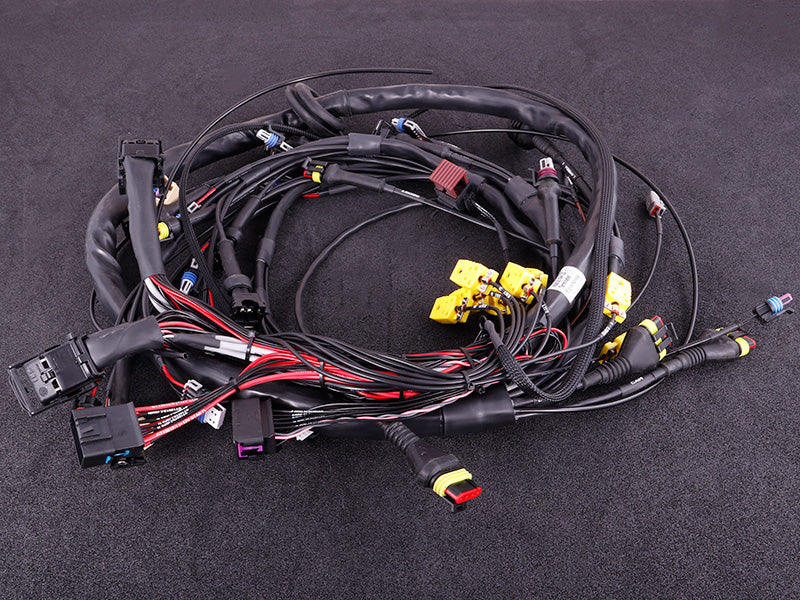 terminated_engine_harness_ls-01_SL41A85RO749.jpg