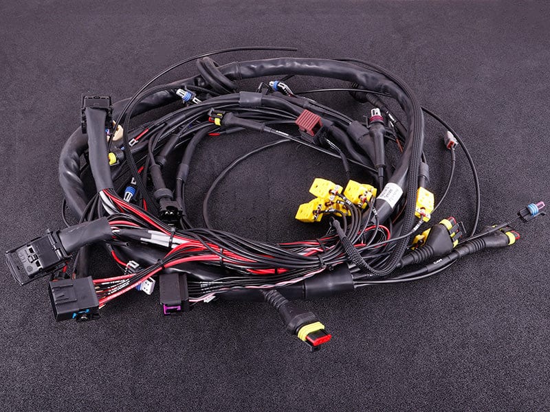 Terminated engine harness - GM LS GEN III/IV including MaxxECU RACE kit - Boosted Kiwi