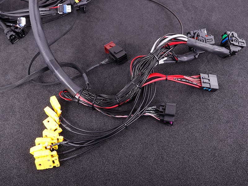 Terminated engine harness - GM LS GEN III/IV including MaxxECU RACE kit - Boosted Kiwi