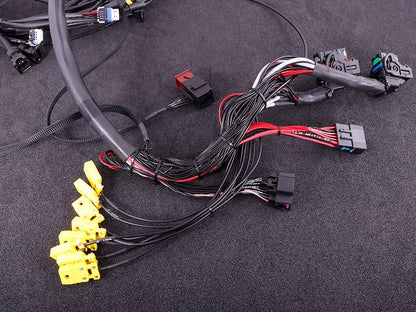 Terminated engine harness - GM LS GEN III/IV including MaxxECU RACE kit - Boosted Kiwi