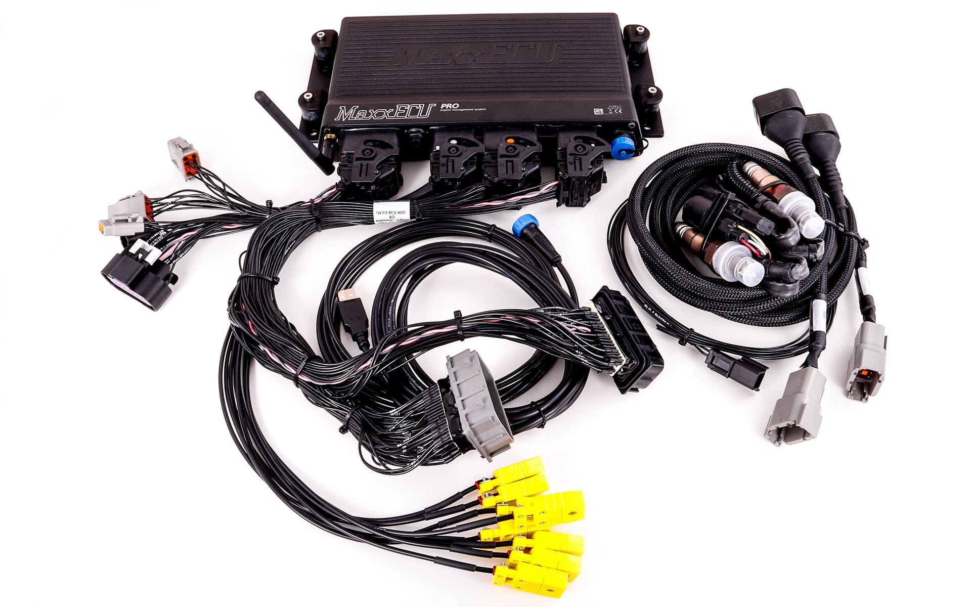 GM Corvette C6 (E38 ECM) MaxxECU PRO Plugin EXTRA MAXX1962 - Boosted Kiwi