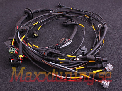 terminated_engine_harness_2jz--01_SL4152EXJ59L.jpg